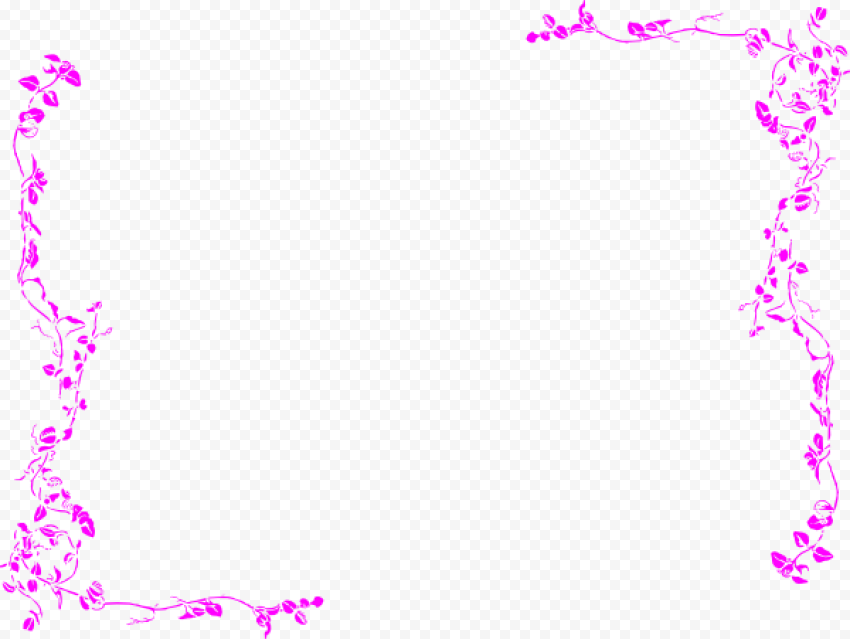 Fuchsia Border PNG Image