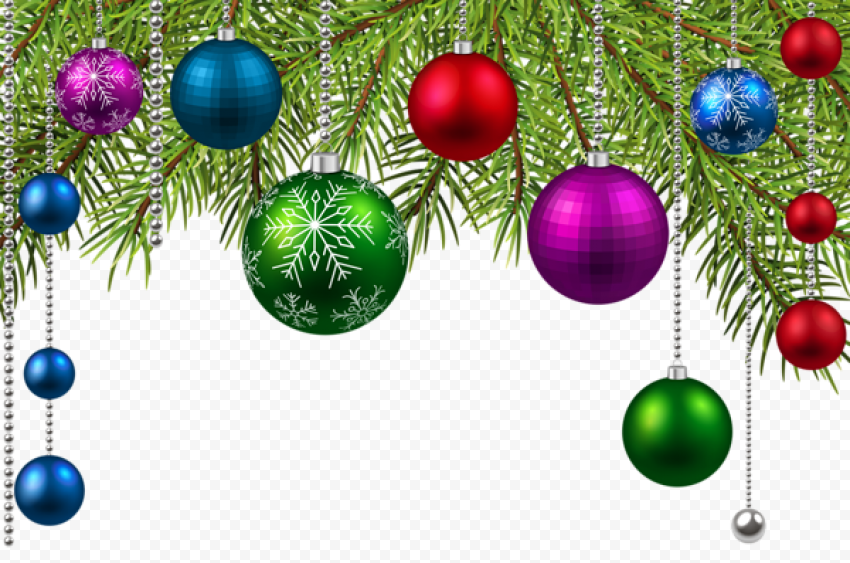 Christmas Branches PNG Image