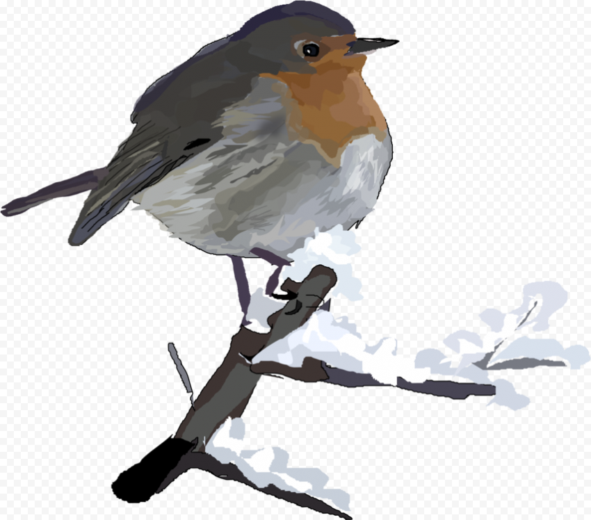 Christmas Bird Transparent PNG