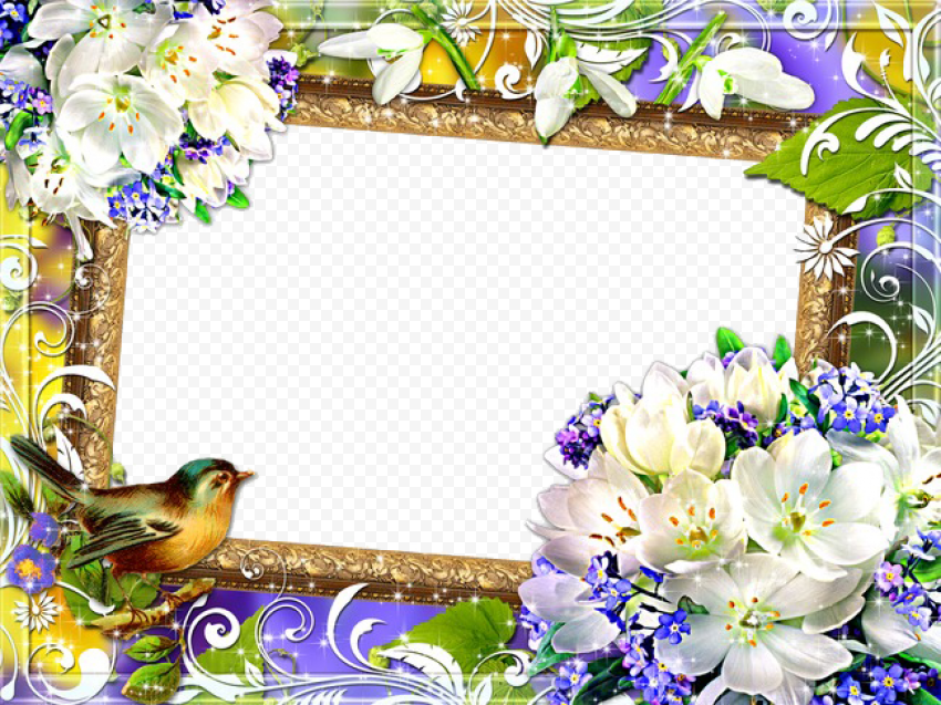 Mood Frame PNG Pic