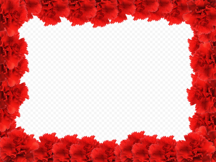 Valentines Day Border Flower PNG