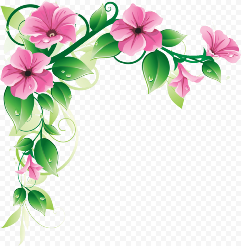 flowers borders high quality png