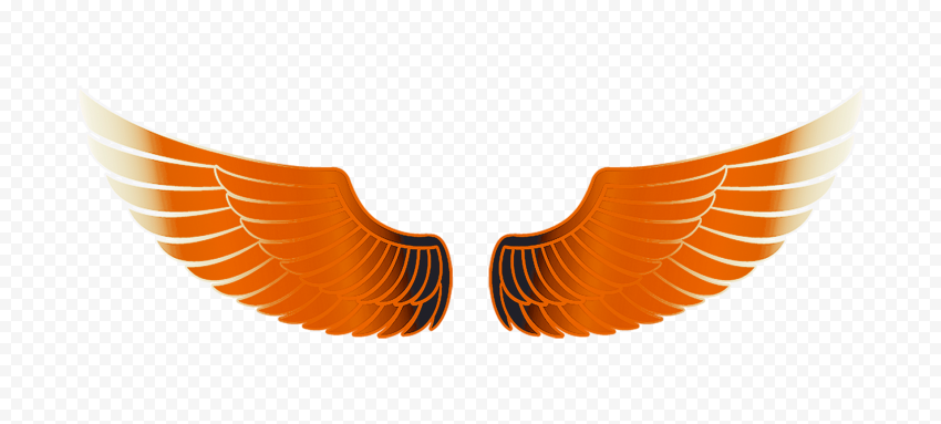 Angel wing, Orange Wings free, free Logo Design Template, computer, logo
