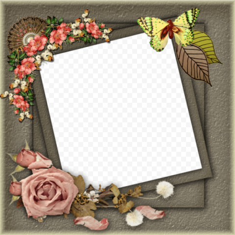 frames PNG image with transparent background
