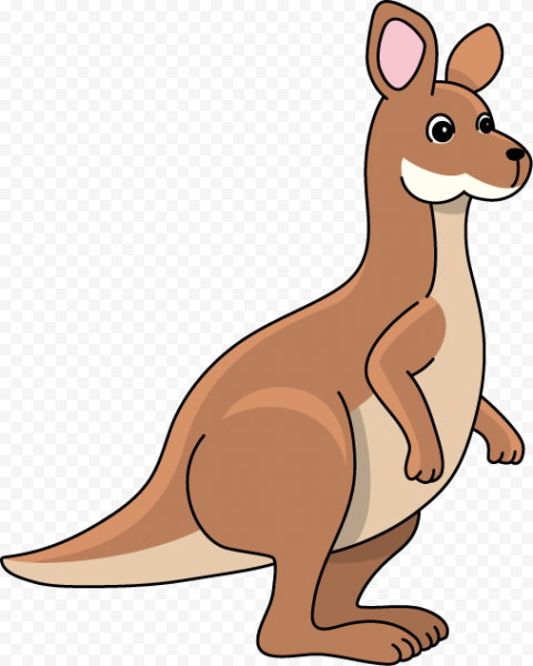 Kangaroo, Kangaroo s, mammal, carnivoran, computer