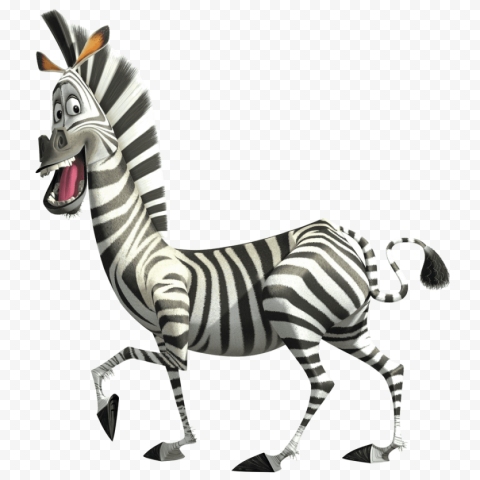 zebra 960x960