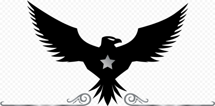eagle logo   black and white eagle logo PNG image with transparent background 