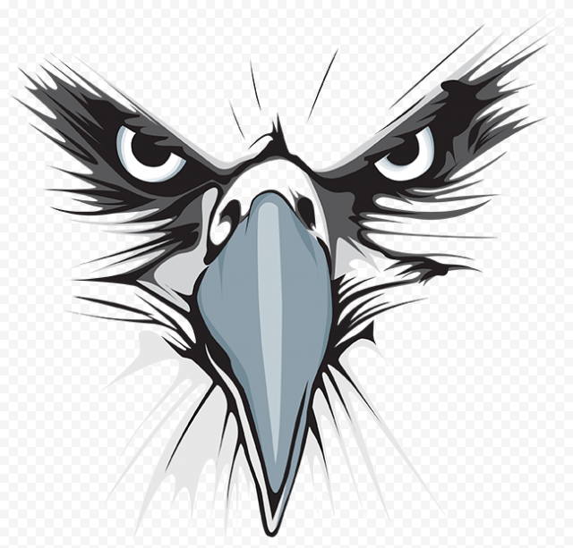 black and gray Eagle face, Bald Eagle Logo Graphic design, eagle, mammal, animals, computer 