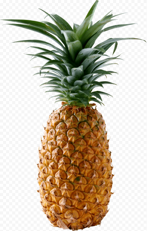 Download pineapple png image download 1