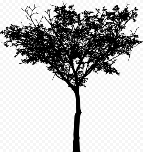 free tree silhouette png