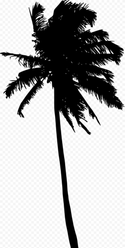 palm tree silhouette 516x1024