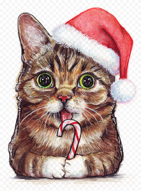 Christmas Kitten PNG Clipart